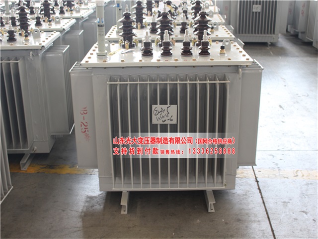 延川S11-1000KVA/35KV/10KV/0.4KV油浸式变压器